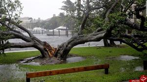 
بلایی که توفان بر سر فلوریدا آورده است + تصاویر
