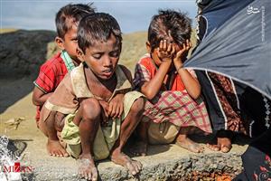 تصاویر تکان دهنده فرار مسلمانان روهینگیا از جهنم  میانمار