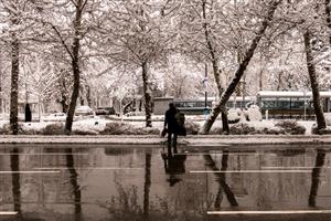بالاخره در تهران هم برف می آید