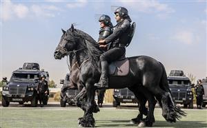  پلیس اسب سوار ایران
