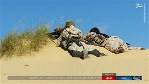 کمین داعش در صحرای سینا +تصاویر