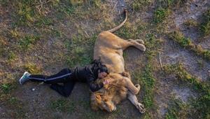 خواب مربی ایتالیایی با یک شیر/عکس