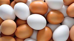 واردات تخم‌مرغ درصورت رفع نیاز فورا قطع می‌شود