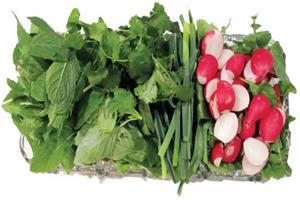 بهترین روش شستشو و سالم سازی سبزیجات
