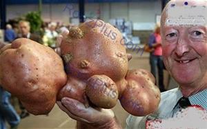پرورش عجیب ترین سبزیجات توسط کشاورز سالخورده +تصاویر
