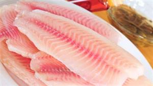 فروش گرانترین ماهی تن دنیا در ژاپن+ فیلم