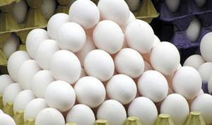 ۲۰۰۰تومانی نرخ هر کیلوگرم تخم مرغ درب مرغداری کاهش یافت
