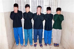 بازداشت اعضای باند سارقان برنج در رضوانشهر گیلان