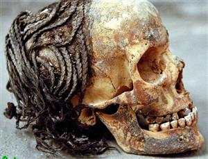 جمجمه‌ یافت شده در مصر در زمان آخناتون در ۱۳۰۰قبل از میلاد+عکس
