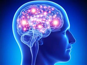 اثبات وجود ناحیه‌ای در مغز به نام «حسادت»