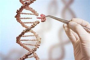 خلق «ابر انسان» با اصلاح ژن!