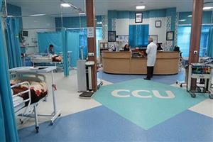 ۱۵ درصد بیماران کشور برای درمان به تهران ارجاع داده می‌شوند
