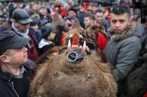 عکس/ رژه  ترسناک و عجیب خرس‌ها در خیابان
