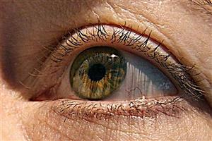 درمان قطعی برای بینایی نابینانان+ عکس