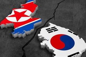 کره شمالی و کره جنوبی یکی شدند+عکس
