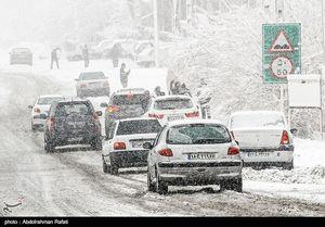 خودروهای رها شده در اتوبان تهران-کرج! + عکس
