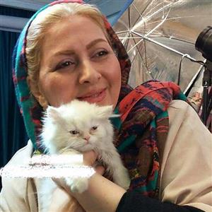 ژست فوق صمیمانه خانم بازیگر با گربه اش+عکس