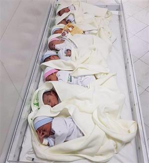 تولد نوزادان هشت قلو در یکی از بیمارستان های شهر یزد/عکس