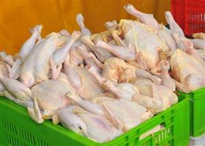 افزایش قیمت گوشت مرغ در آستانه عید
