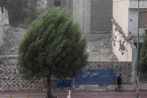 توصیه مدیریت بحران برای وزش باد شدید و گردوخاک احتمالی در تهران