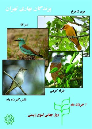  همزمان با روز جهانی تنوع زیستی (یکم خردادماه) شهروندان تهرانی با پرندگان بهاری شهر آشنا می شوند