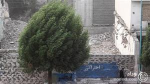 هشدار؛ وزش باد شدید و بارش باران در تهران