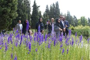 آغاز هم افزایی و همکاری محیط زیست شهرداری تهران و موسسه تحقیقات جنگل ها و مراتع کشور