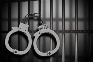 دستگیری 17 مجرم در اردبیل