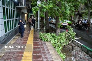 انتقال 7 مصدوم طوفان شب گذشته به بیمارستانهای تهران و کرج