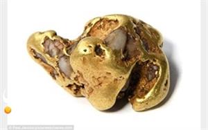 کشف بزرگ ترین سنگ طلا در بریتانیا +تصاویر