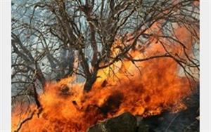 آتش سوزی در ارتفاعات روستای کلاوه