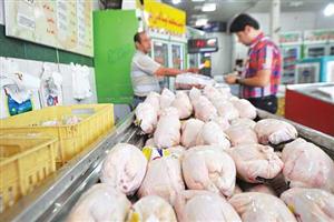 فاصله ۳ هزار تومانی قیمت مرغ با نرخ مصوب 