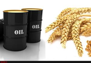 مطرح کردن نفت در برابر غذا در ایران یک جنگ روانی است