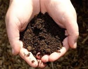 متولیان جلوی قاچاق خاک را بگیرند / فرسایش سالانه ۲ میلیارد تن خاک