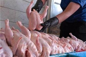 کاهش قیمت مرغ در بازار
