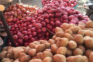 ممنوعیت صادرات پیاز و سیب‌زمینی لغو شد
