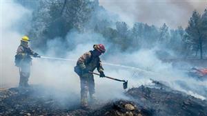 وقوع ۱۳۸۱ آتش‌سوزی جنگلی در اتحادیه اروپا
