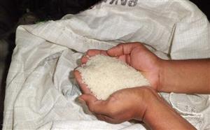 هیچ توجیهی برای افزایش قیمت برنج وجود ندارد/ارتقای کیفیت نان در اسفند