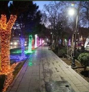 زیباسازی بلوارکشاورز در نوروز ١٤٠٣، گامی موفق درجهت احیای زیست شبانه تهران