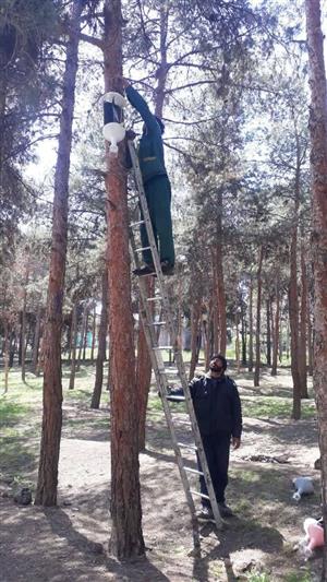 آغاز نصب تله های فرمونی در بوستان جنگلی سرخه حصار 